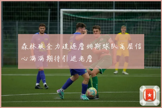 森林狼全力追逐詹姆斯球队高层信心满满期待引进老詹